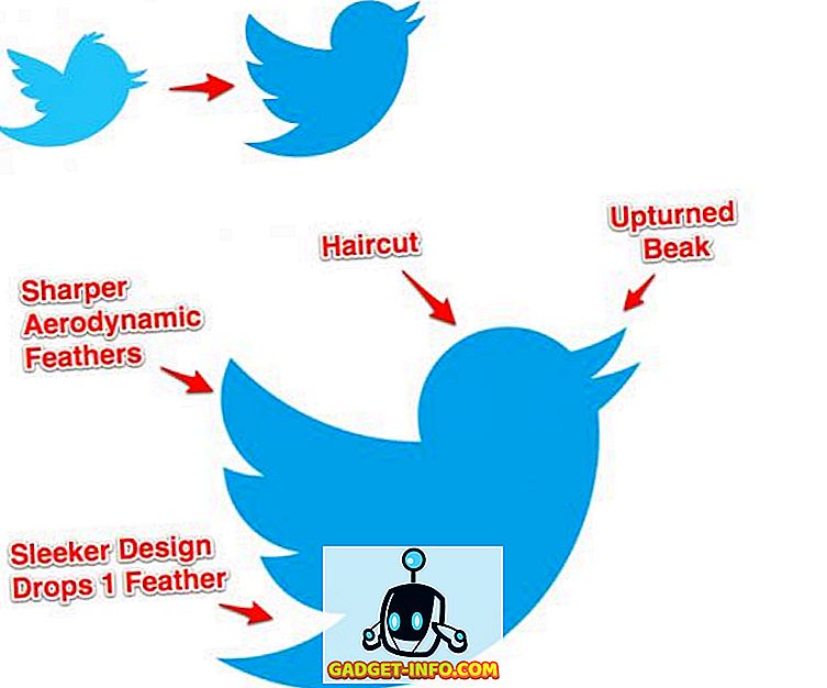 Ką reiškia naujas „Twitter“ paukštis