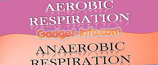 Forskjellen mellom aerob og Anaerob Respiration