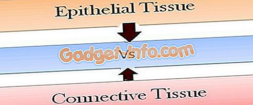 Diferencia entre tejidos epiteliales y conectivos