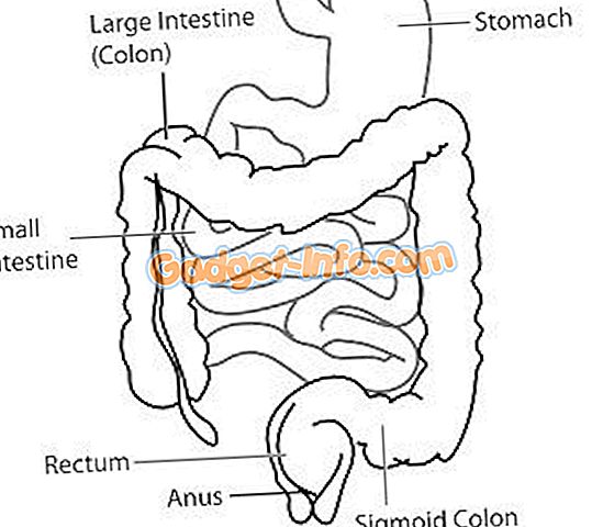 Verschil tussen colitis ulcerosa en de ziekte van Crohn