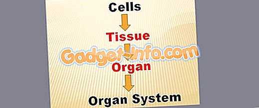 Skillnad mellan vävnad och orgel