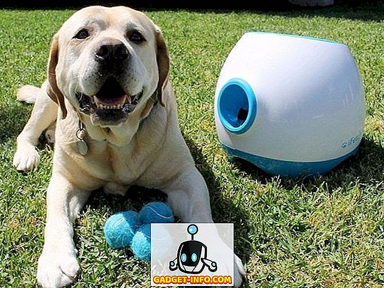 12 Cool-gadgetit, jotka sinun pitäisi ostaa lemmikkisi puolesta