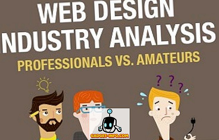 Webdesigners: Professionals Vs.  Amatörer (Infographic)